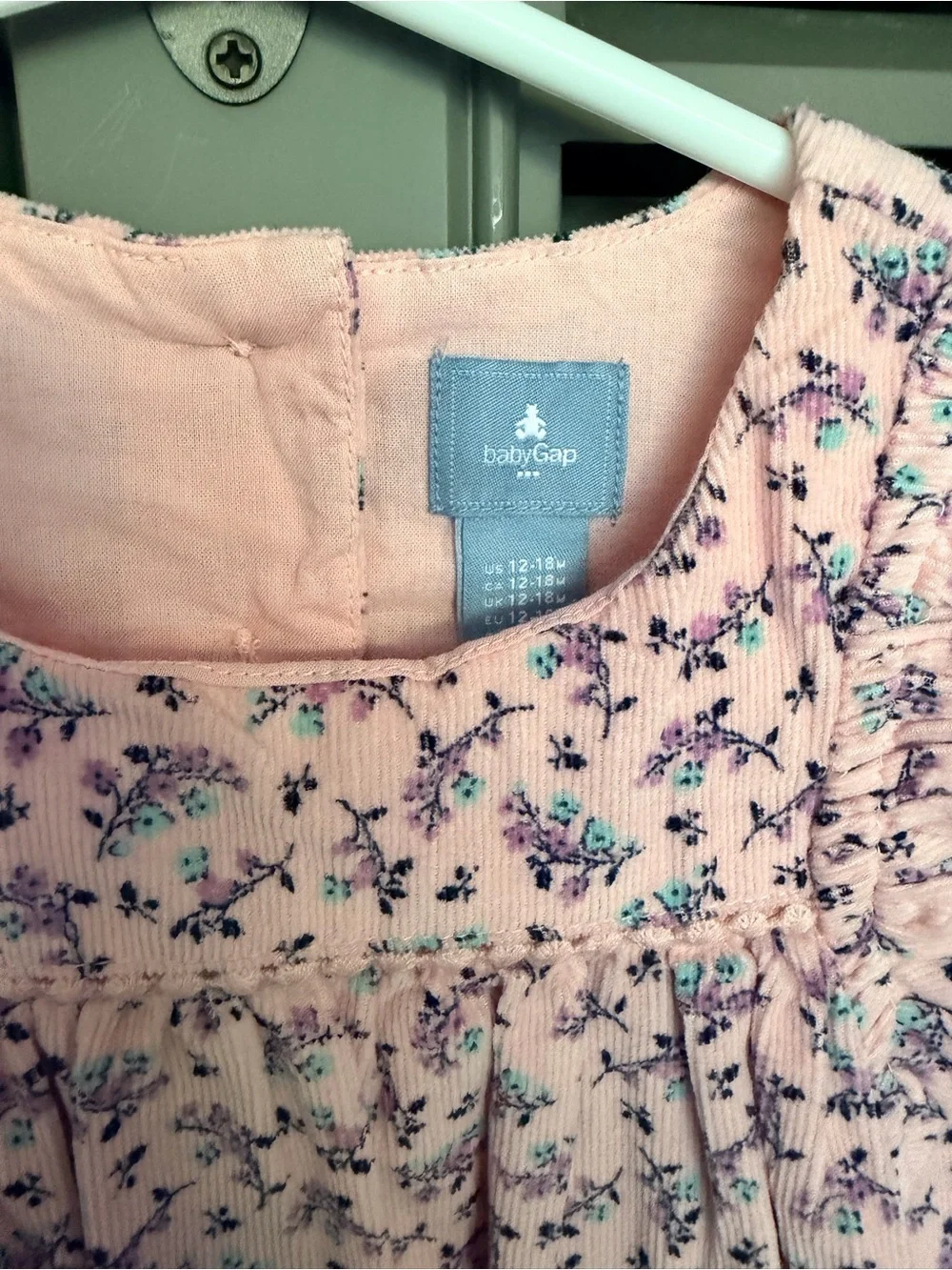 Baby GAP Pink Floral Ruffle-Sleeve Fine Corduroy Dress